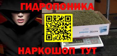 прущие грибы Конаково