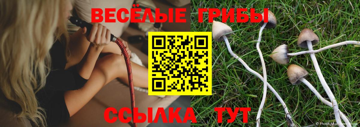 Галлюциногенные грибы Magic Shrooms  Псилоцибиновые грибы мухоморы  Конаково  Вход с VPN 