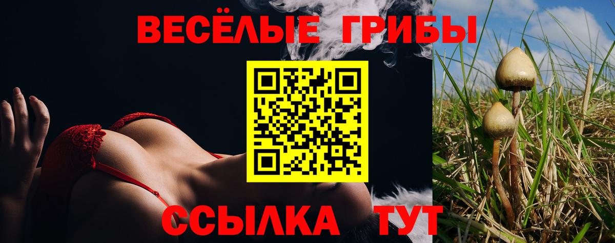 Галлюциногенные грибы GOLDEN TEACHER Конаково
